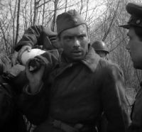 Летят журавли (1957)