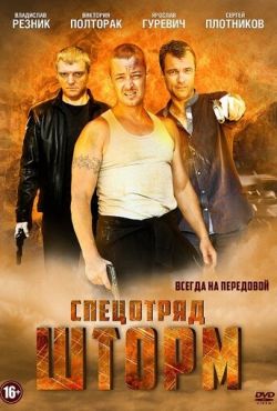 Спецотряд «Шторм» (2013)