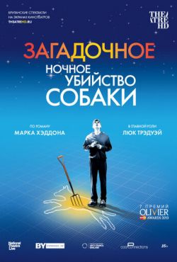 Загадочное ночное убийство собаки (2012)