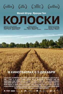 Колоски / Последствия (2012)