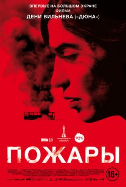 Пожары (2010)