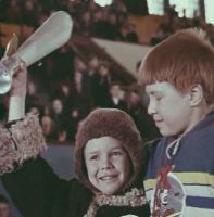«Тигры» на льду (1971)