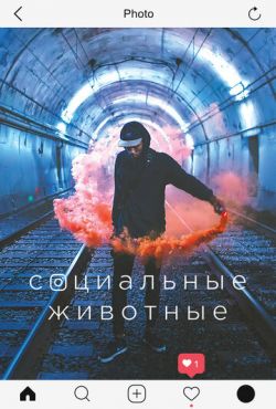 Социальные животные / Погоня за любовью (2018)