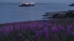 Филателия (2025)